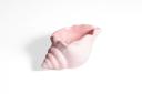 Base Caracol | Envases Yeso - Concreto