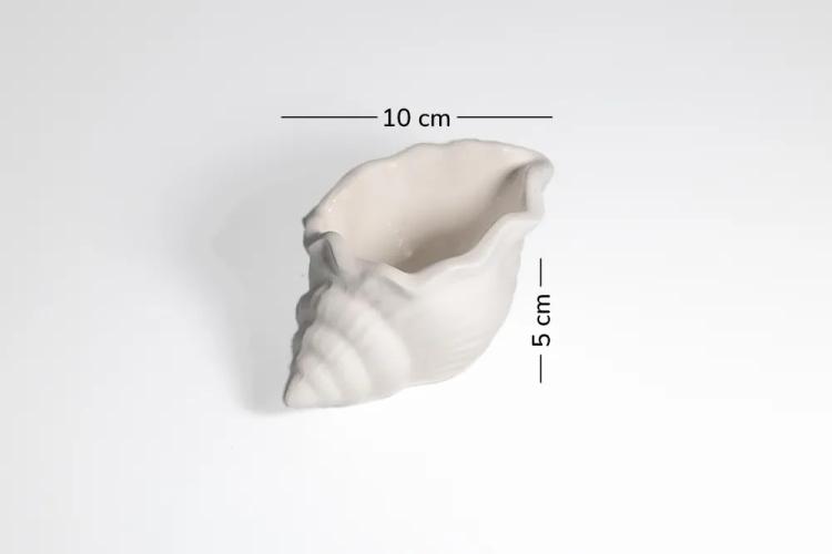 Base Caracol | Envases Yeso - Concreto